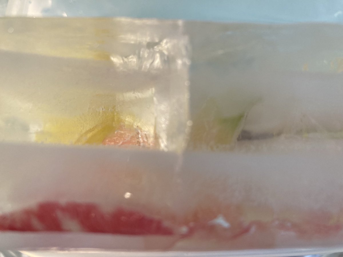 Experimenting with flowers in ice #photography ⁦<a href="/The_RHS/">The RHS</a>⁩ #floral #botanic