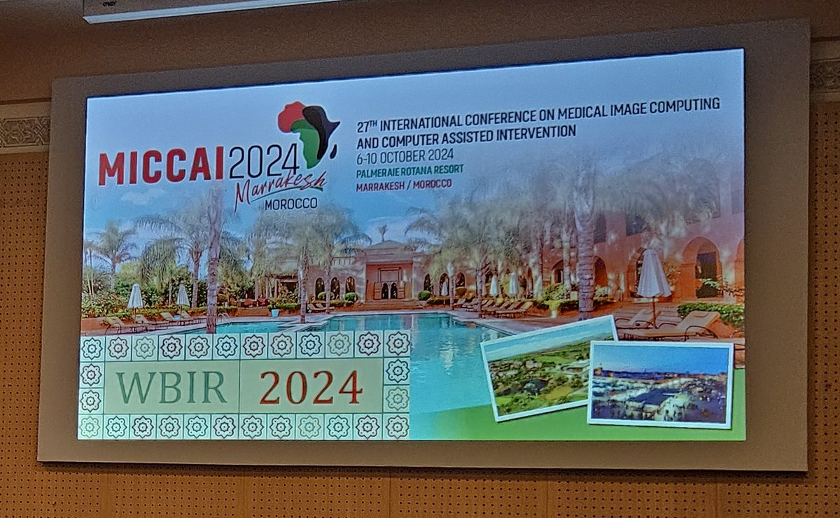 joakim_lindblad's tweet photo. Happy to present the #COMULISglobe challenge of #Learn2Reg, kicking off the #WBIR session @MICCAI_Society in beatiful @marrakesh 🌅
Exciting days ahead! https://t.co/mKDdGeTTEk