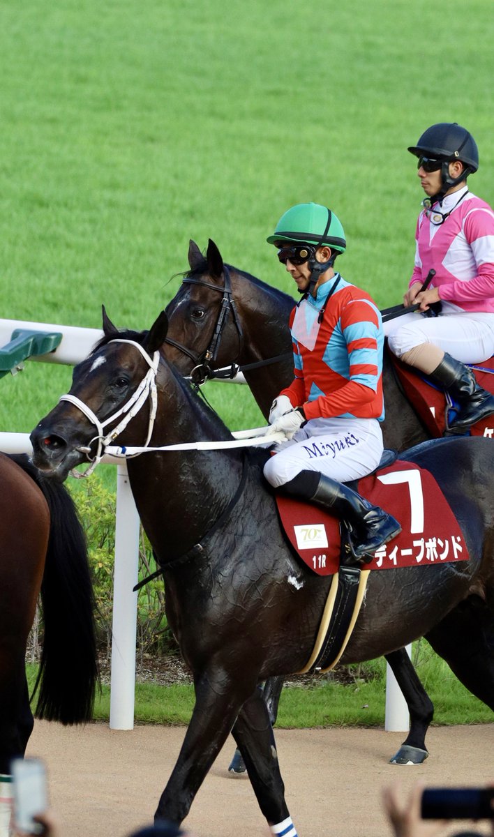 京都大賞典 - Search / X