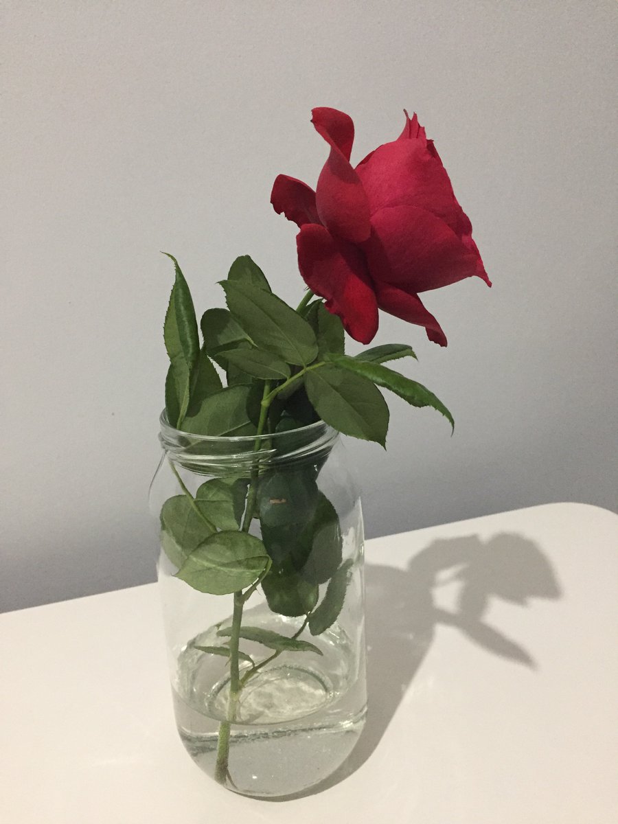 Nasıl baktığınız, neler hissettiğiniz çok önemli. Hayat öyle bir şey ki yaşamınız bakış açınızda gizli.. kimseye kızmayın toplumu oluşturan bizleriz. Önce biz iyi olacağız.. Vesselam 
Gününüz güzel olsun.