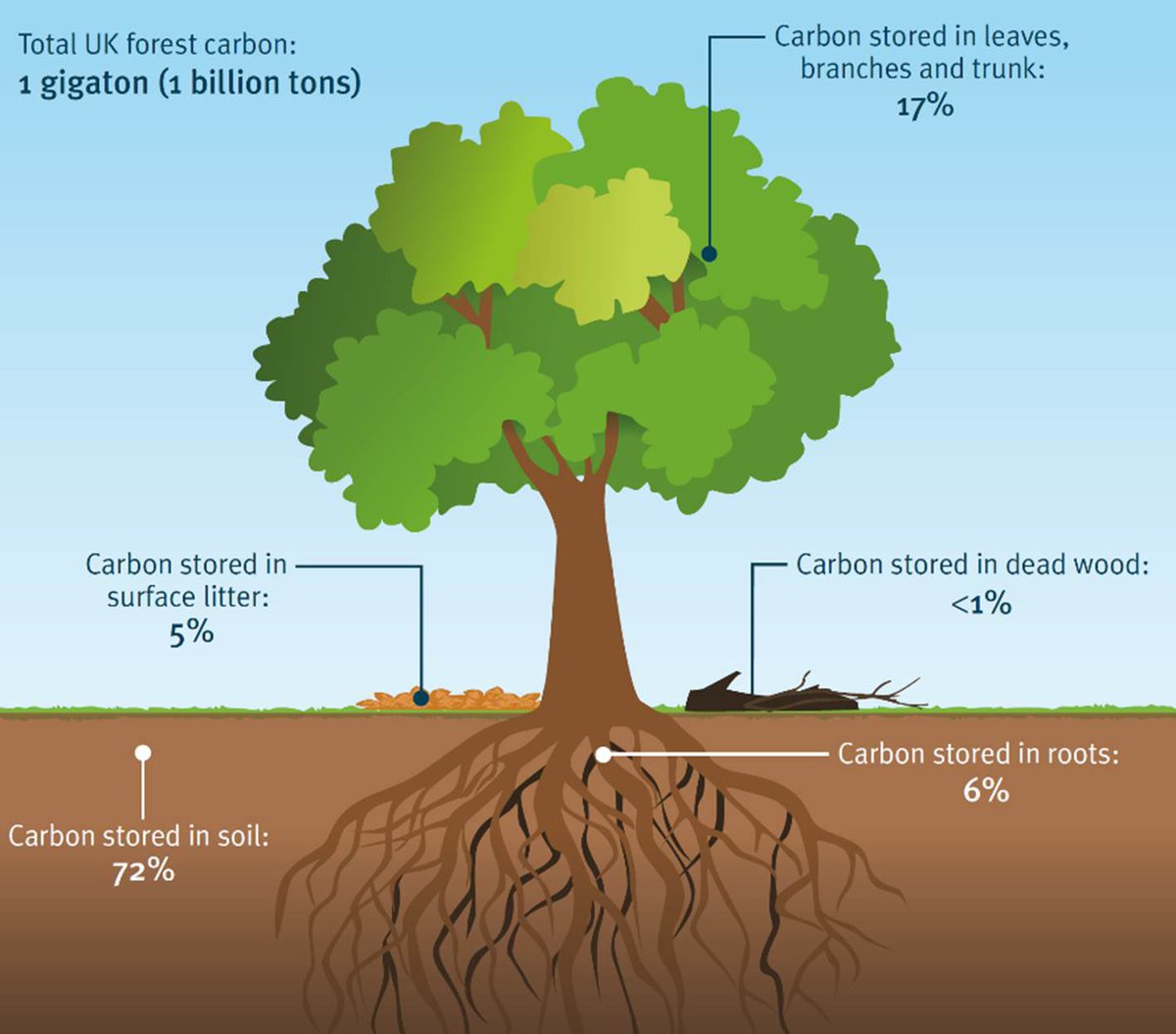 The original and best carbon capture machine. 🌳