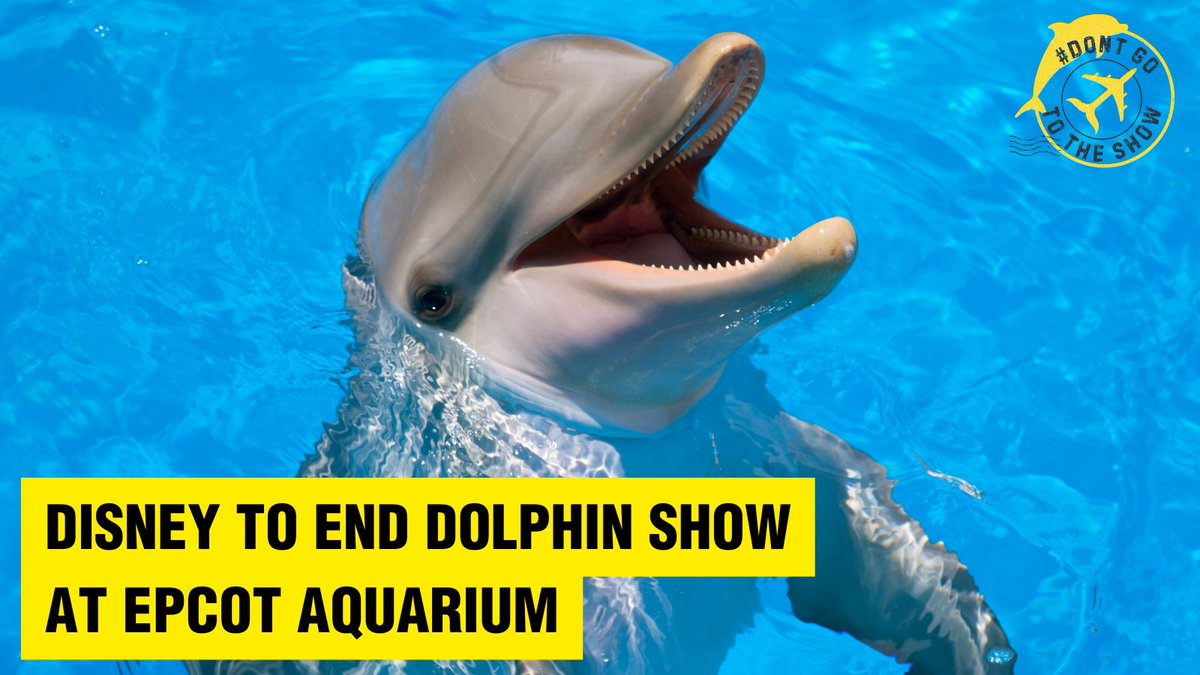 Great news! Walt Disney World is ending dolphin shows at Epcot, but sadly the dolphins will be rehome in another facility: ow.ly/utmT50TE8o0
