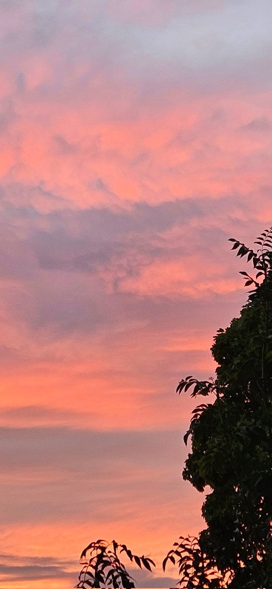 Hello from North Yorkshire. Morning. (May need a click.) #Sunrise #SundayCalm #Sky #Trees #Yorkshire