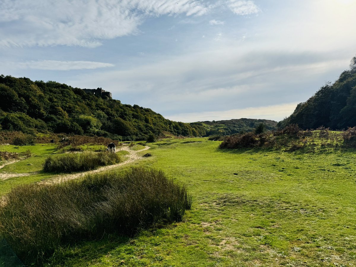 zmiltonbrown's tweet image. Beautiful Gower ♥️ #Gower #ThreeCliffs