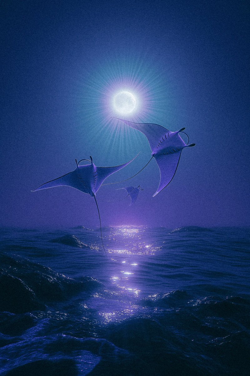 OdysseyOfTheHeart tweet media