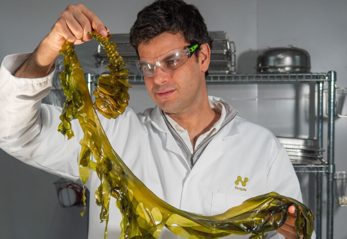 Do you want that to go?

Imperial startup <a href="/notpla/">Notpla</a> has raised an extra £20m to help bring its seaweed-based packaging to the US market. 

Congratulations!
ow.ly/WxmW50TBkUm