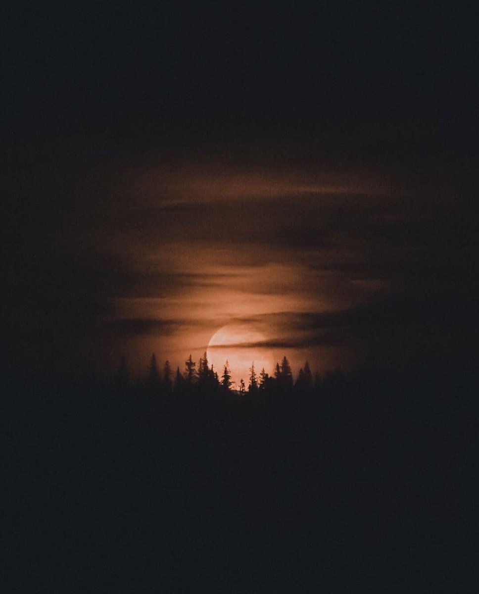earthcurated's tweet photo. https://t.co/jIjbIZAatk