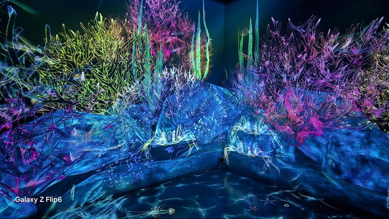 shiki_genshin7's tweet image. #GalaxyHarajuku
#GalaxyAI
#teamlabGalaxy
#チームラボ

綺麗な魚がいっぱいでした！