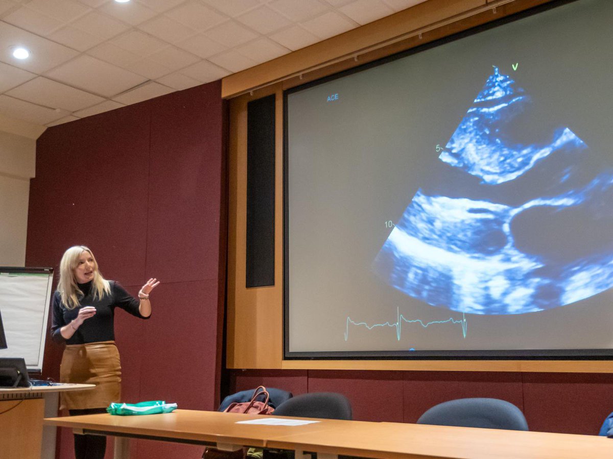 Liz Wolfe tweet media