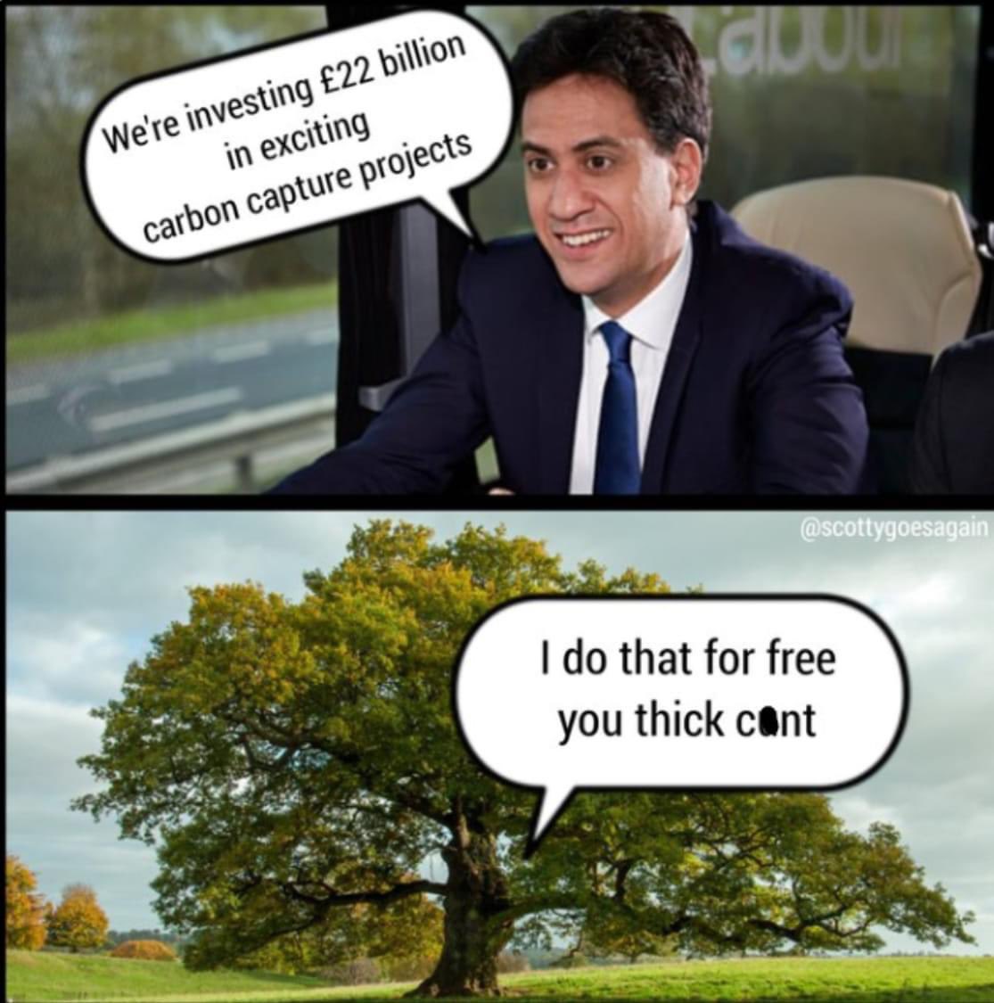 leilani dowding 🌸🚜 ☮️ tweet media