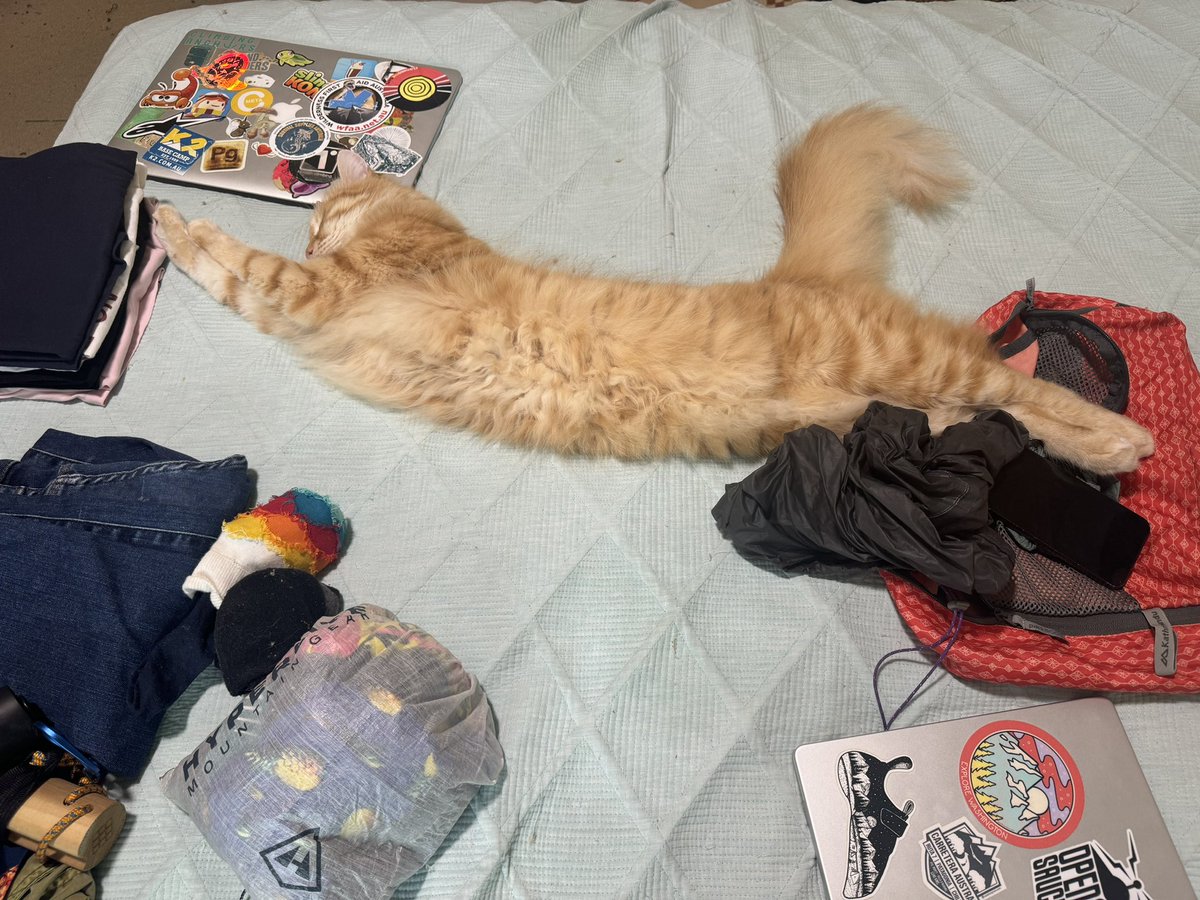 Packing for MIGW and Mr Tuna is being very helpful.