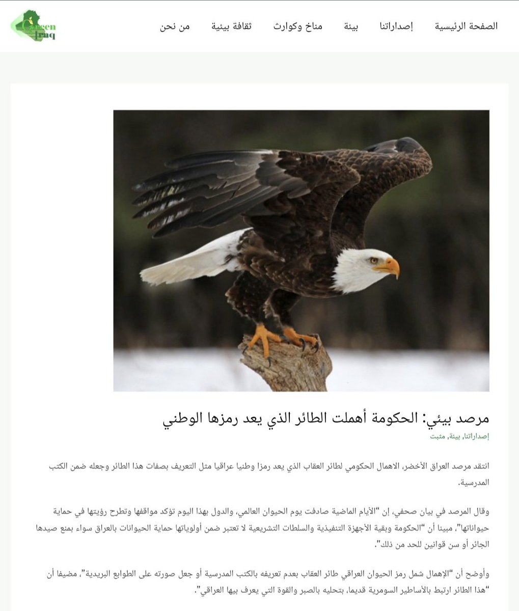 The Green Iraq Observatory criticized the government's neglect of the eagle, which is an Iraqi national symbol, such as defining the characteristics of this bird and including it in school books.
#Greeniraq