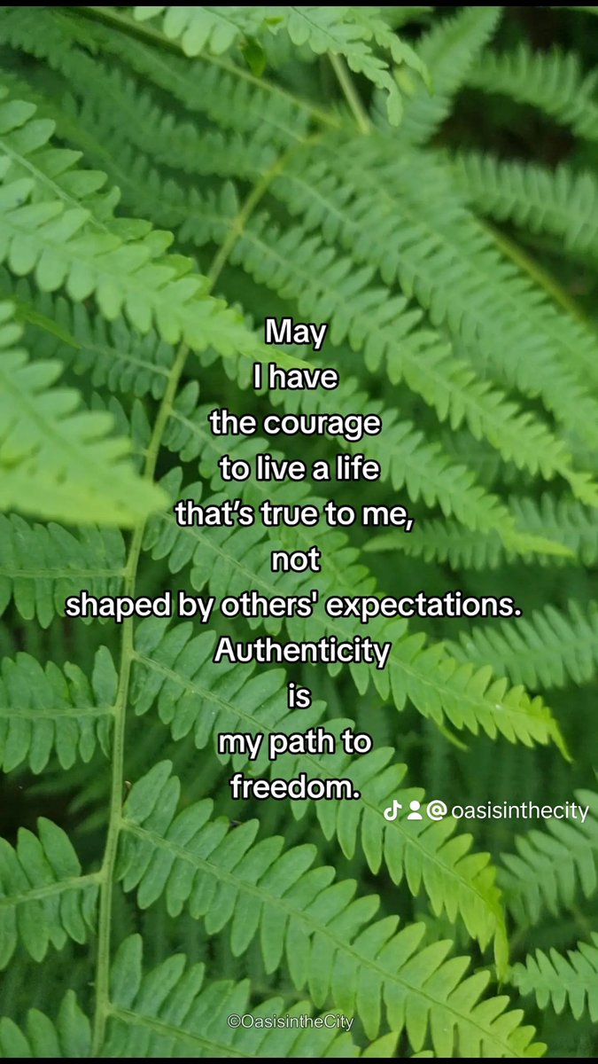 OIC - Mindful Moments 

#oasisinthecity #faith #success #motivation #quotes #fyp #dreambig #nolimit #unlishpotential #Inspiration #SpreadGoodVibes #Laughter #courage