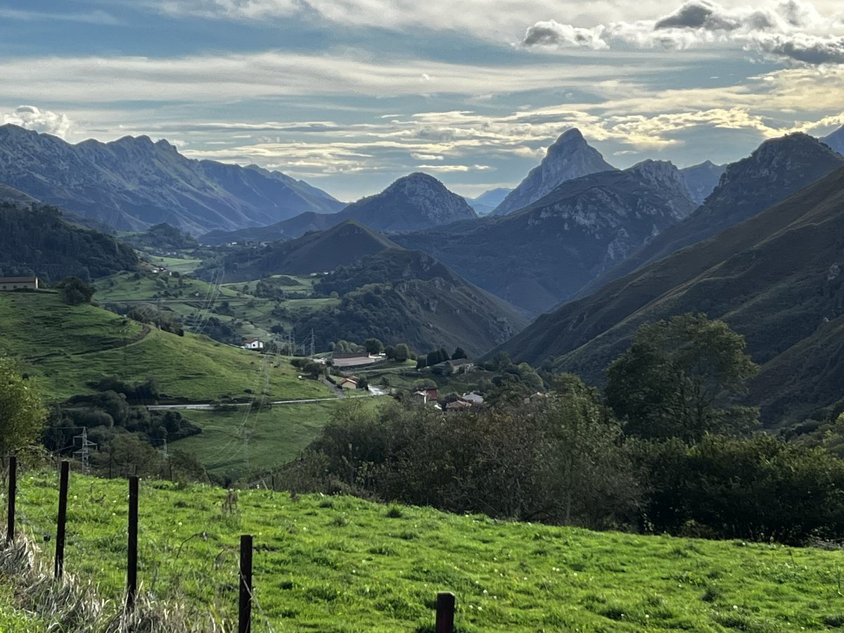 bobmcguire8's tweet image. Good morning X World #Picos