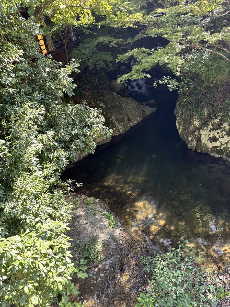otowasansoh's tweet photo. ずいぶん気温が下がりましたね！長袖でおいでください。
#音羽山荘　#川床　#箕面　#気温の変わり目 https://t.co/zukH15Rmi4