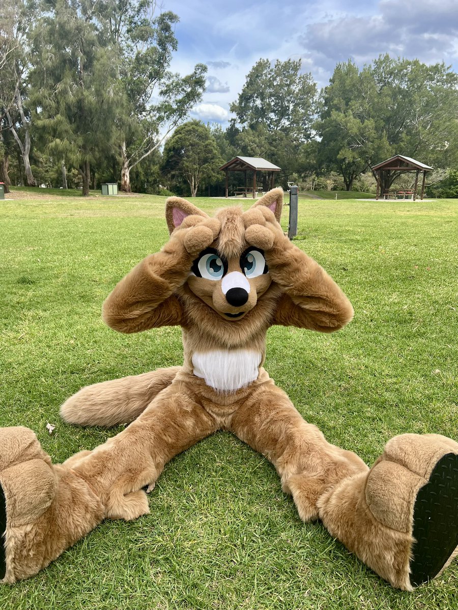 _DaisyWolf_'s tweet image. Heads shoulders knees and beans 鉁ㄢ湪
馃 @8Bit_Works
馃摲 @_BaxterWolf_