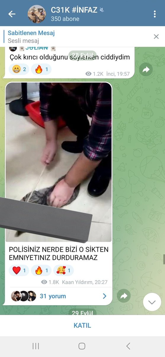 bjorn_ironsidd's tweet photo. Şu amına kodumun Satanist ruhlu oruspu çocukları hep #Telegram'da dolanıyorlar

TikTok'tan daha tehlikeli bi yer varsa o da #Telegram'dır https://t.co/PHhK00NXrY