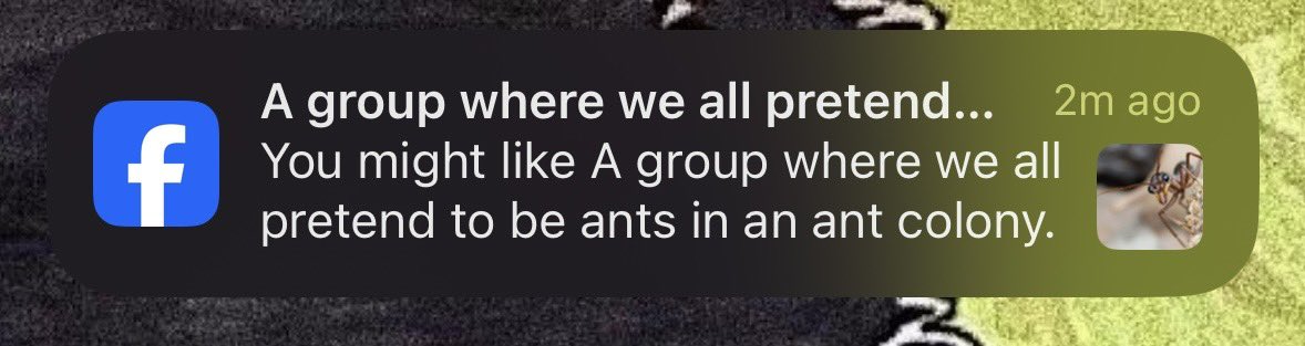 i don’t use Facebook…🧍‍♂️