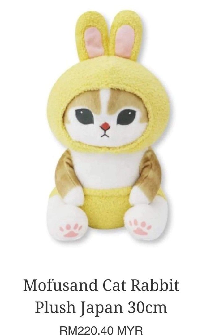 staysday6's tweet photo. did mucore staff give lee know a bunny cat mofusand plushie 😭😭😭😭😭 https://t.co/SUASB9IzFy