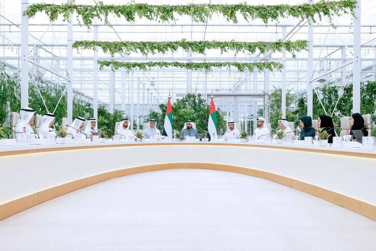 الصورة
