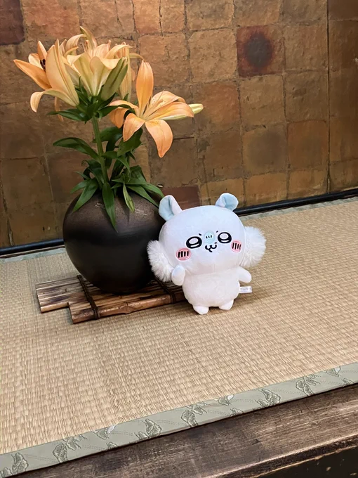 鯛よしだ! 