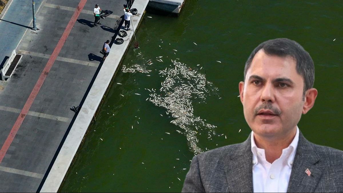 TurkgunGazetesi's tweet photo. Bakan Kurum İzmir Körfezi için harekete geçti: 'Acil eylem' planı
https://t.co/Lyp9heSvs6
#Çevre #ŞehircilikveİklimDeğişikliğiBakanıMuratKurum #İzmirKörfezi #TopluBalıkÖlümleri #AcilEylem https://t.co/l5kmGw5hhs