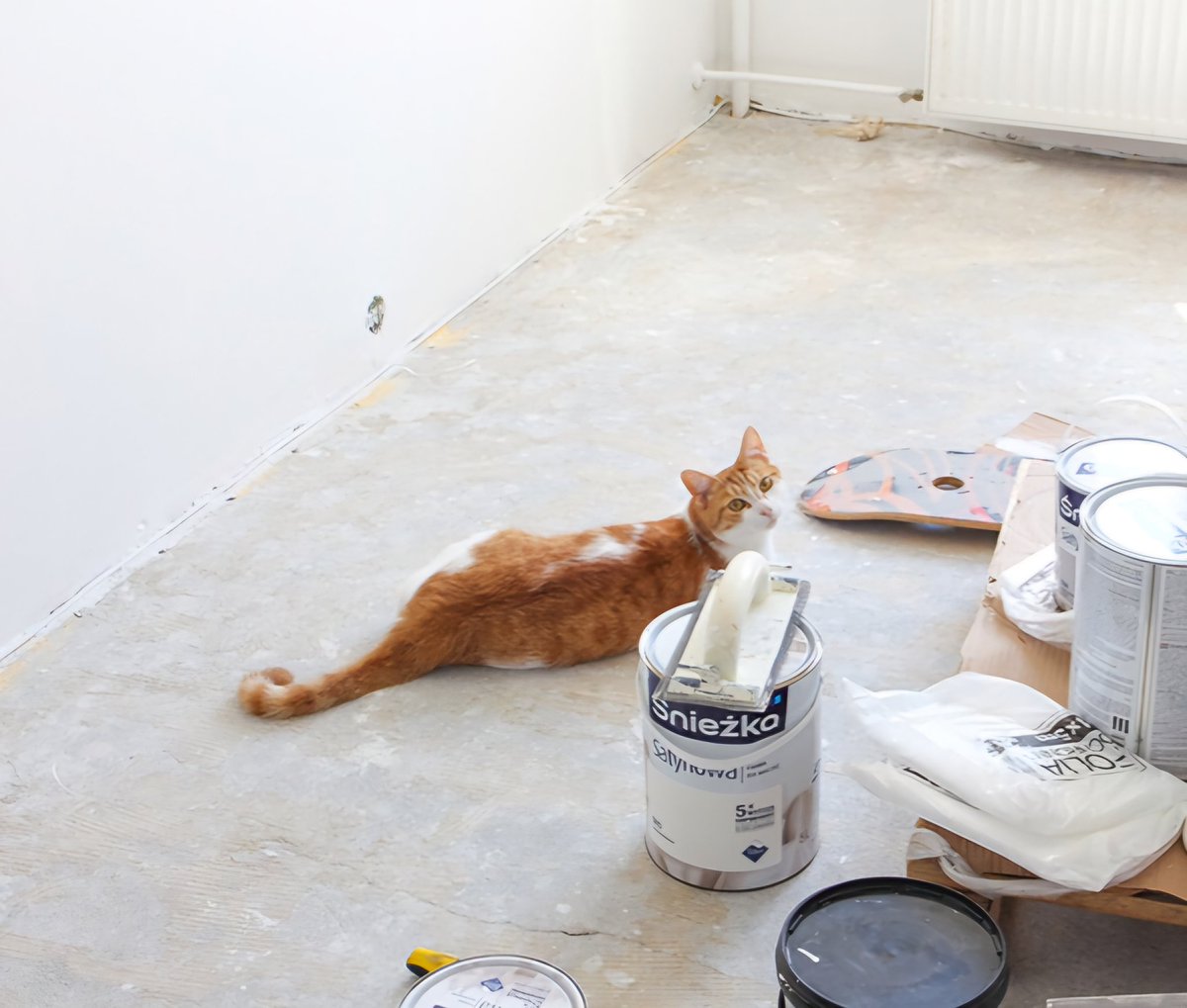 Dzień dobry, Proszę o pomoc w zbiórce na remont mieszkania, Osobę mogącą podzielić się groszem Proszę o kliknięcie w link PayPal Dziękuję i życzę miłego dnia 
paypal.me/Mariuszk8025