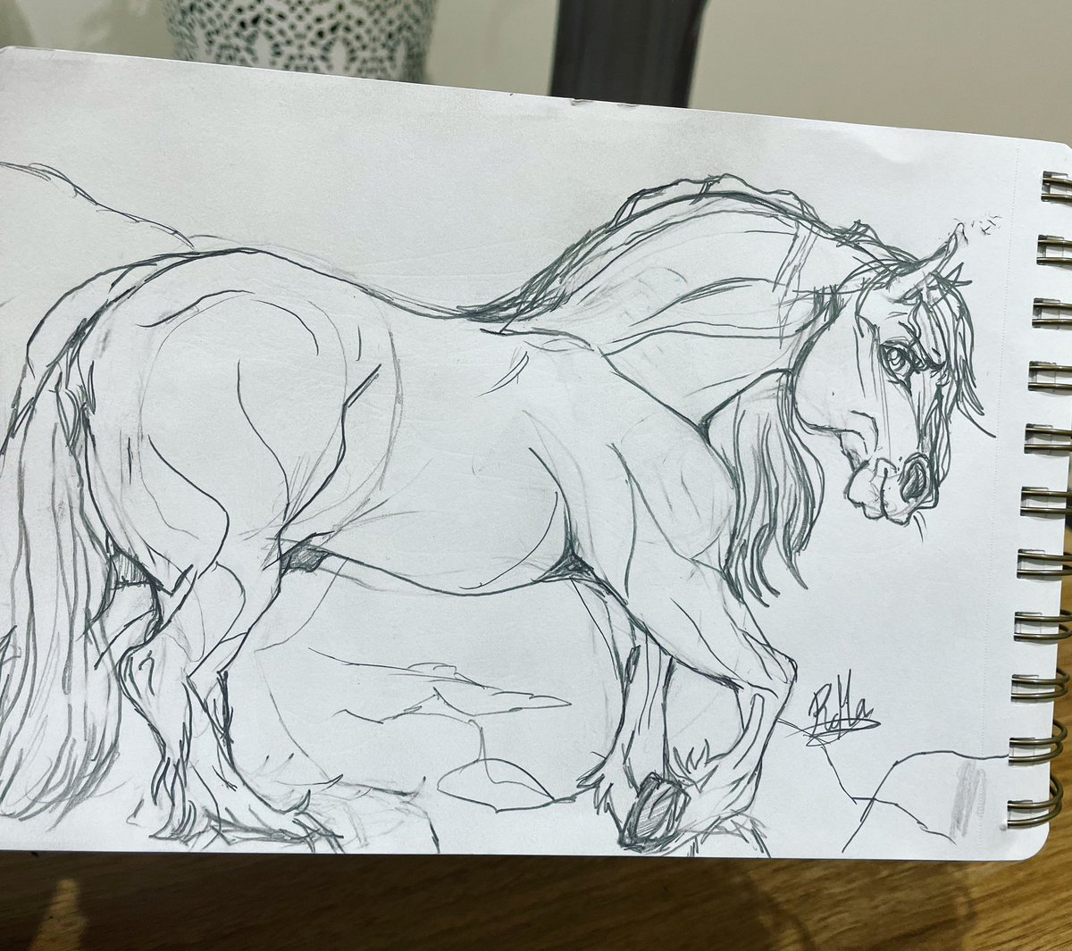 Horsies sketch ✍️ 🐎
