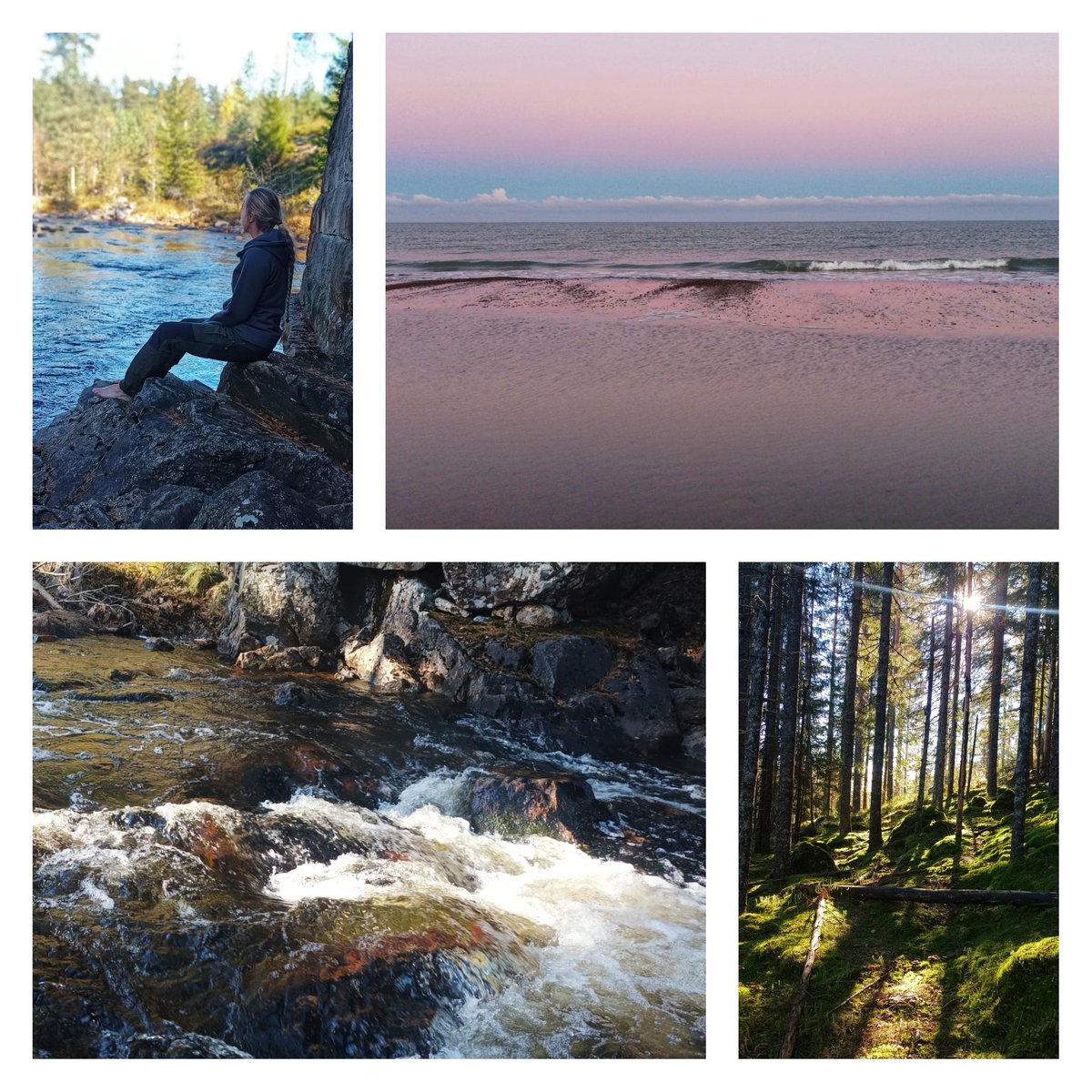 Milieu en dierenagent Leontine tweet media