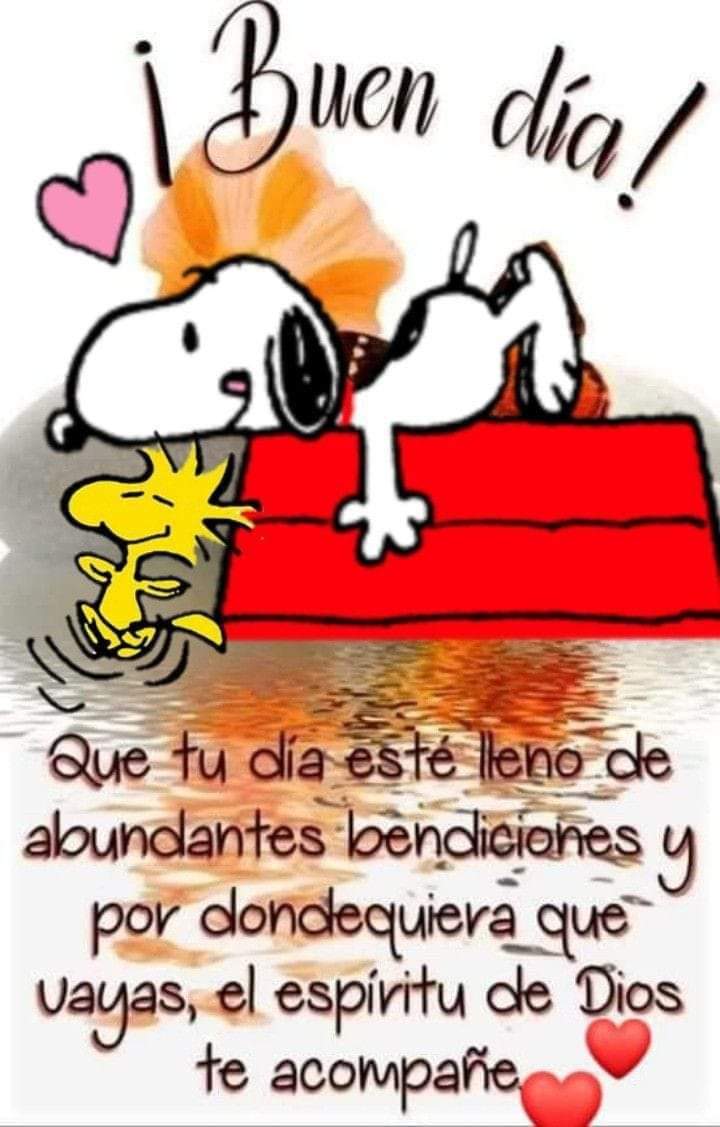 @Augusto Rivera tweet media