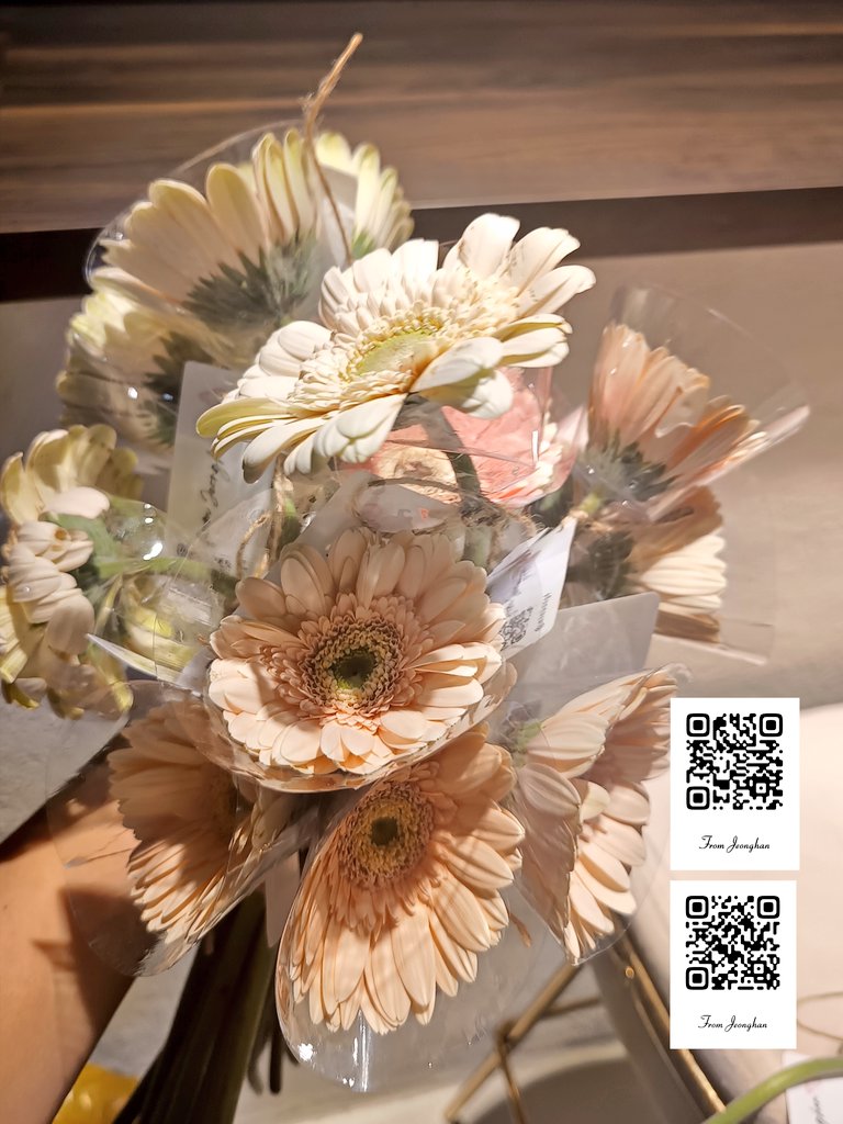 Minbong4's tweet image. Best wishes to all CARATsss coming today🩵🩷

can scan the QR for Jeonghan's voice message🌸

Until we meet again,
Hanihae✧ʕ(*ˊᗜˋ*)ʔ~
#YJH_BLOOMINGWITHLOVE