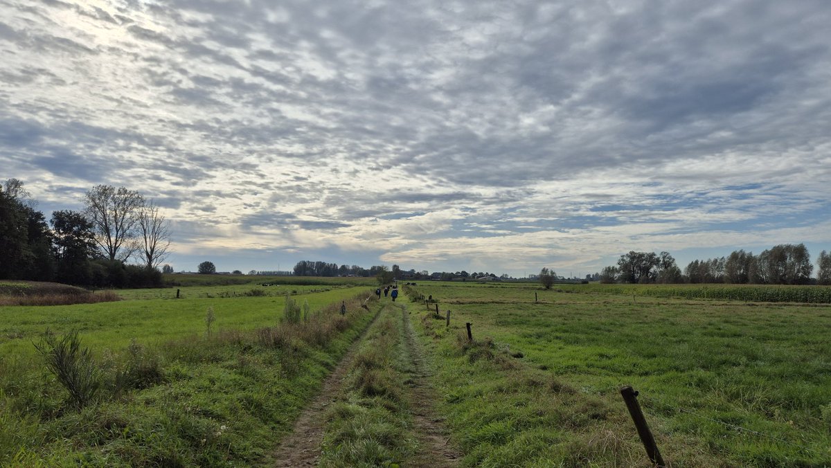 j_winne's tweet photo. Oosteeklo 11.15 u. #vrtweer https://t.co/wTfqosoXJs