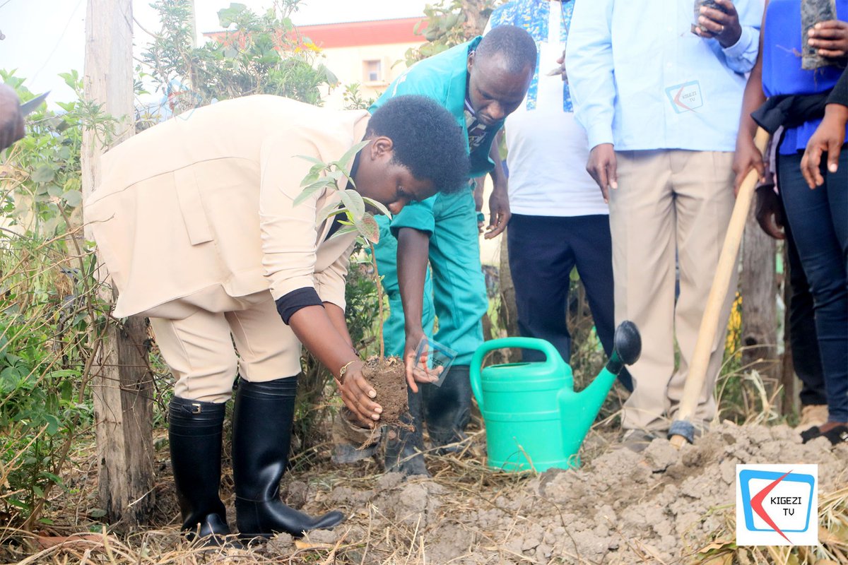 SWRDF_'s tweet photo. On September 28th, @regional_west, led by our SG @EvelyneNinsiim1, launched a 1000-tree planting initiative at @NTC Kabale! Together with the Rotary Club of Kabale City, we’re taking crucial steps for #environmental #conservation.
Watch the launch here: https://t.co/wteD1GWDae https://t.co/mXzku54v9g