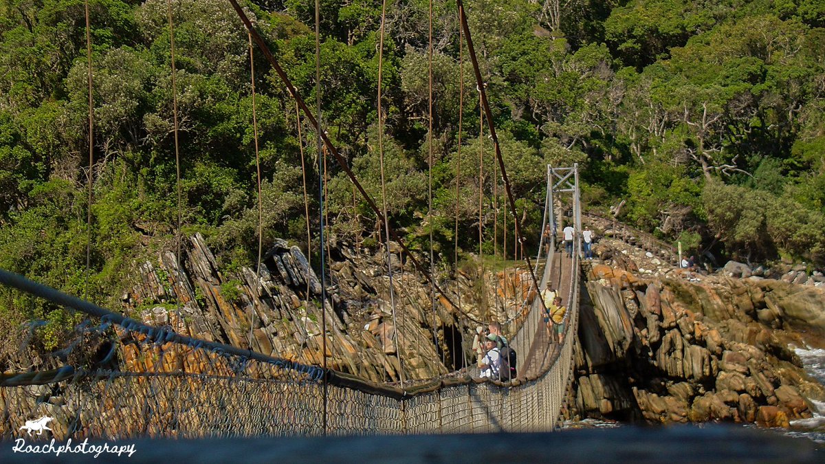 Everything I’ve ever wanted is just on the other side of fear. #roachphotography #bridge #suspensionbridge #stormsriver #wildearth #landscapes #amateurphotographer #beautifulnature #landscapephotography #naturephoto  #NaturePhotography #picoftheday #Wanderlust  #blupebblestours