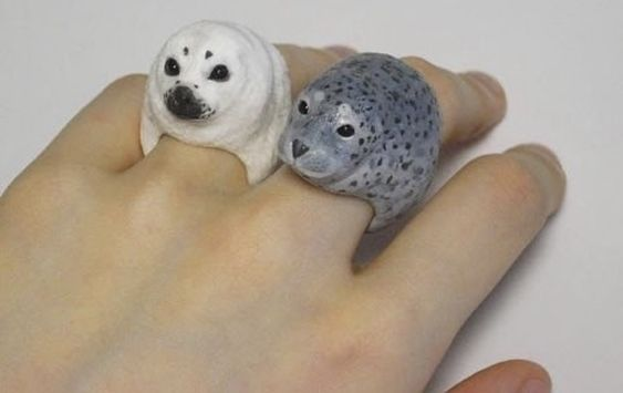 yuuareaseal's tweet photo. proposing with these https://t.co/iziwPGVkjs