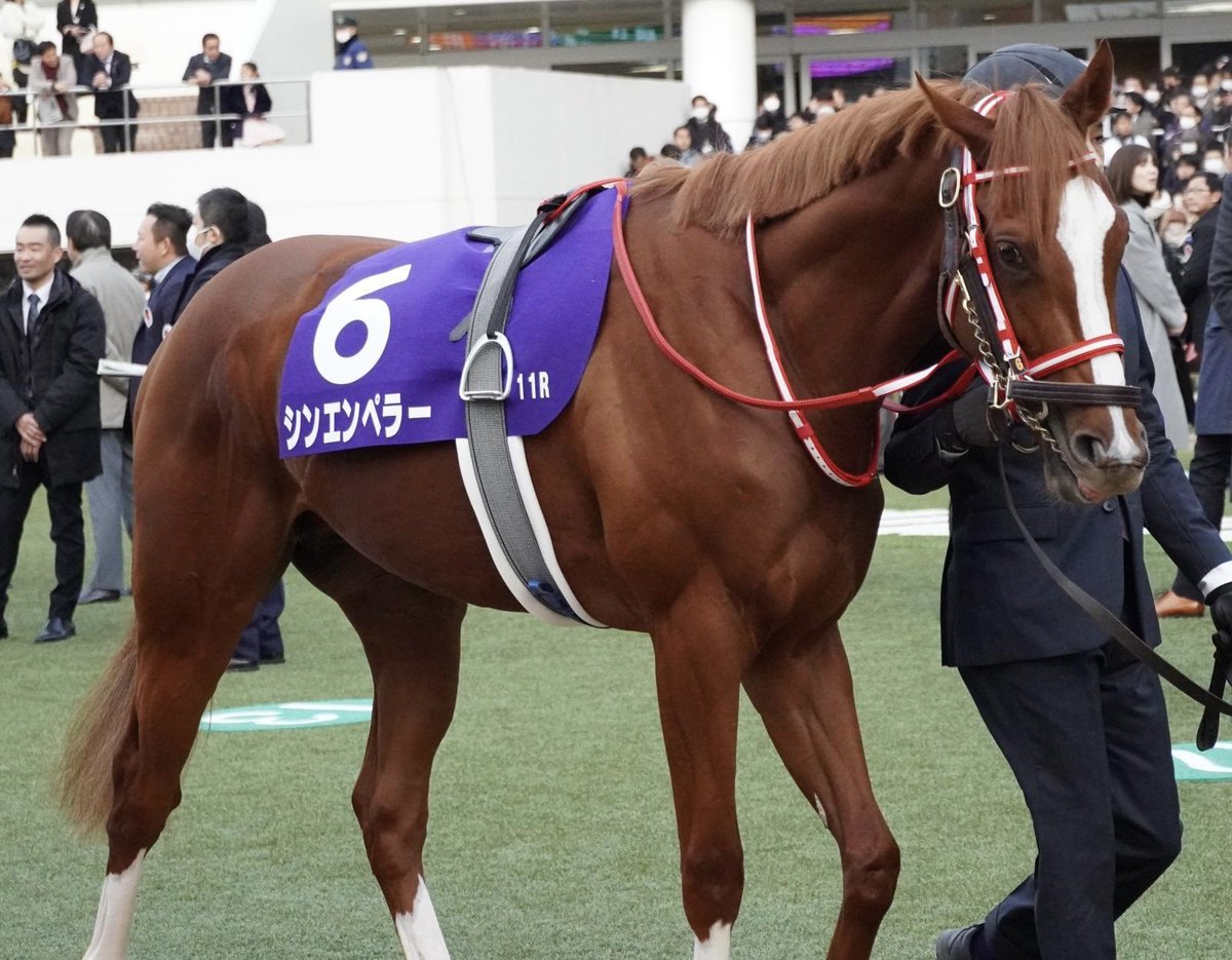 capone777x's tweet photo. #カポ峯凱旋門賞日本馬応援企画
凱旋門賞、シンエンペラーが勝利したら日本馬初の栄誉という事で祝いの大還元、特大プレゼント企画を開くつもりだ。
シンエンペラーを応援する奴らはこのポストをRTしてくれ。
発走は23時20分、日本馬初の凱旋門賞制覇を祈ってみんなで応援しようぜ。 https://t.co/A6mzYhWZe4