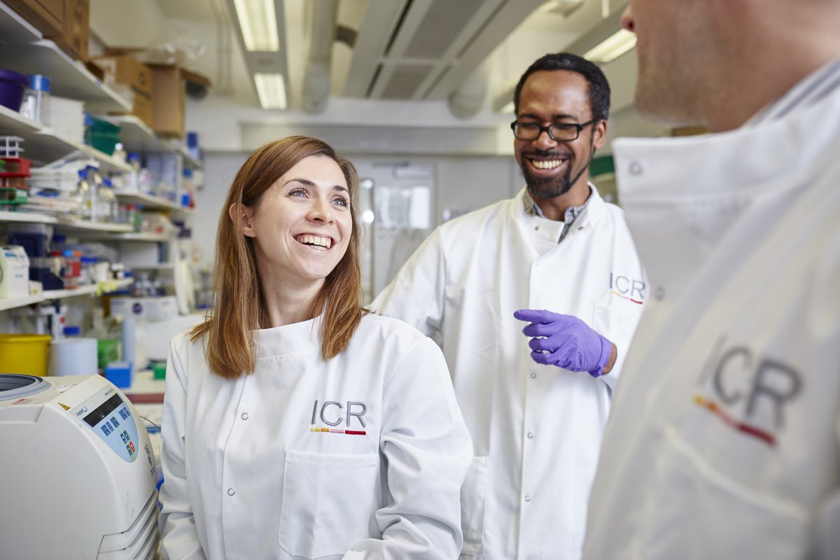 REMINDER 🚨

Sign up for our #PhD application workshop:

🧪 Learn more about the process
🧪 Receive guidance and advice from our academic recruitment lead
🧪 Hear from current PhD students about their experiences

🗓️ Monday 7 Oct
🕐 13:00 - 14:00 UK time

icr.ac.uk/studying-and-t…