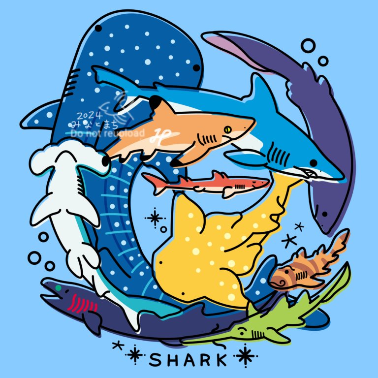サメ🦈