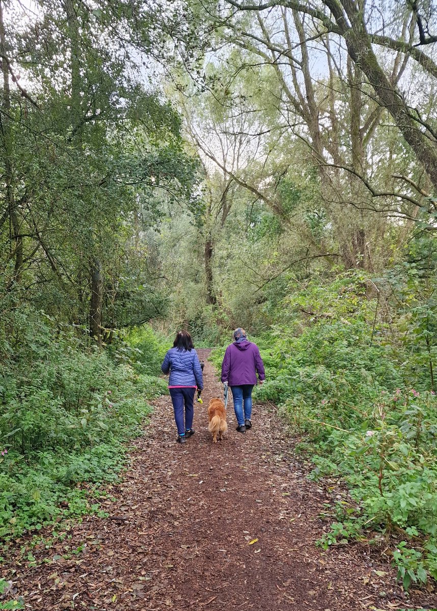 de Natureluur tweet media