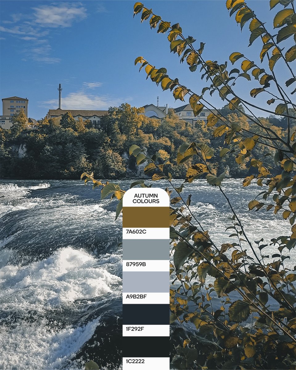 Snapdragon UK tweet media