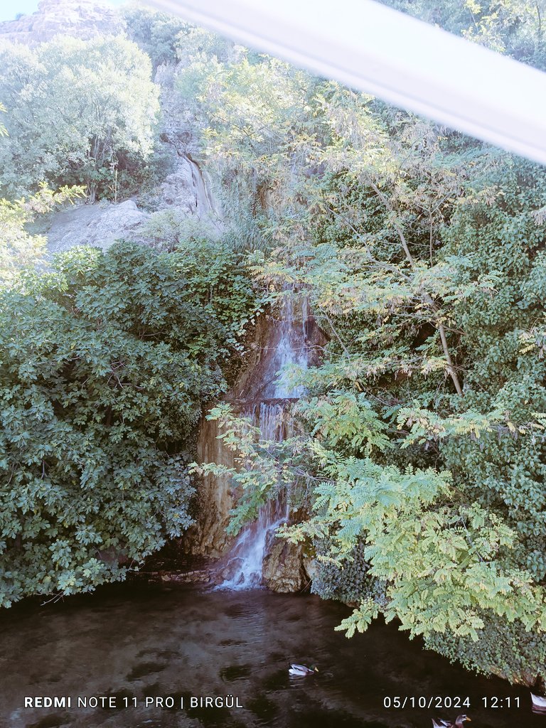BirglKutlu1's tweet photo. https://t.co/3AyZxJCsAG
