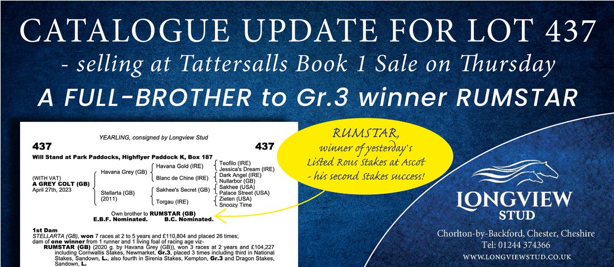 EBN (@bloodstocknews) on Twitter photo π¨ Catalogue update for <a href="/longviewstud/">Longview Stud</a>'s Lot 437 - selling at <a href="/Tattersalls1766/">Tattersalls</a> Book 1 Sale on Thursday π¨
A full-brother to Gr.3 winner RUMSTAR, who won yesterday's Listed Rous Stakes at <a href="/Ascot/">Ascot Racecourse</a> - his second Stakes success βΌοΈ
β‘οΈ longviewstud.co.uk #ReadAllAboutIt π¨ Catalogue update for <a href="/longviewstud/">Longview Stud</a>'s Lot 437 - selling at <a href="/Tattersalls1766/">Tattersalls</a> Book 1 Sale on Thursday π¨
A full-brother to Gr.3 winner RUMSTAR, who won yesterday's Listed Rous Stakes at <a href="/Ascot/">Ascot Racecourse</a> - his second Stakes success βΌοΈ
β‘οΈ longviewstud.co.uk #ReadAllAboutIt