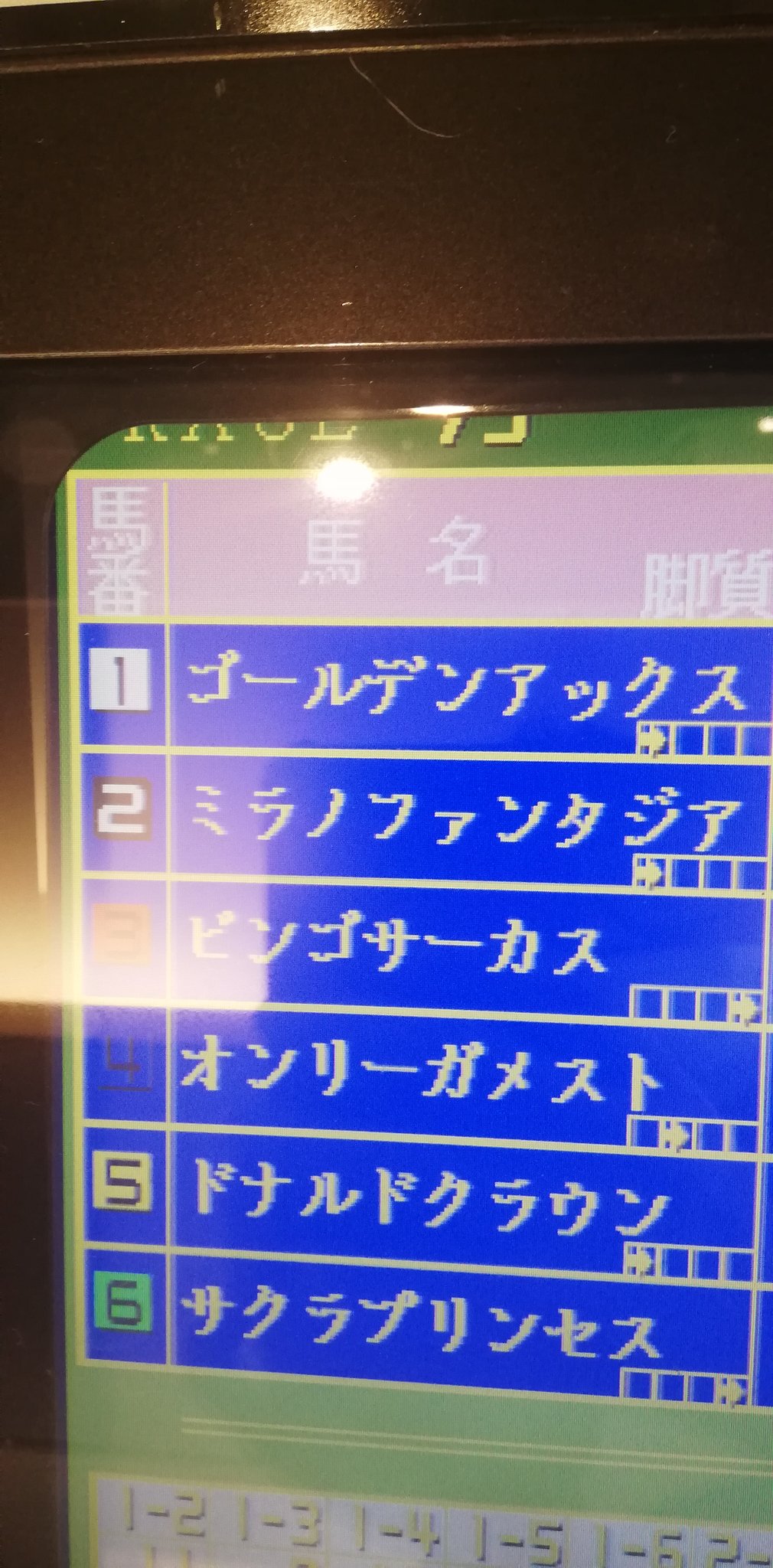 パブミラー ロイヤルアスコット SEGA　セガ　競馬　メダル　アーケード　馬 hqdefault.jpg