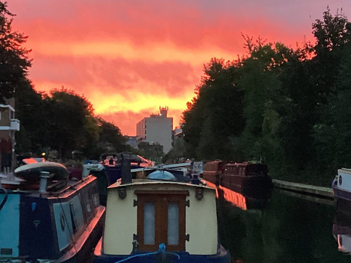 David Glot tweet media