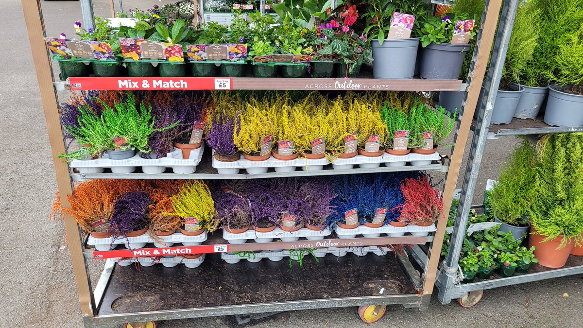 WebstersYouTube's tweet image. I have a sudden urge to play #ResidentEvil...