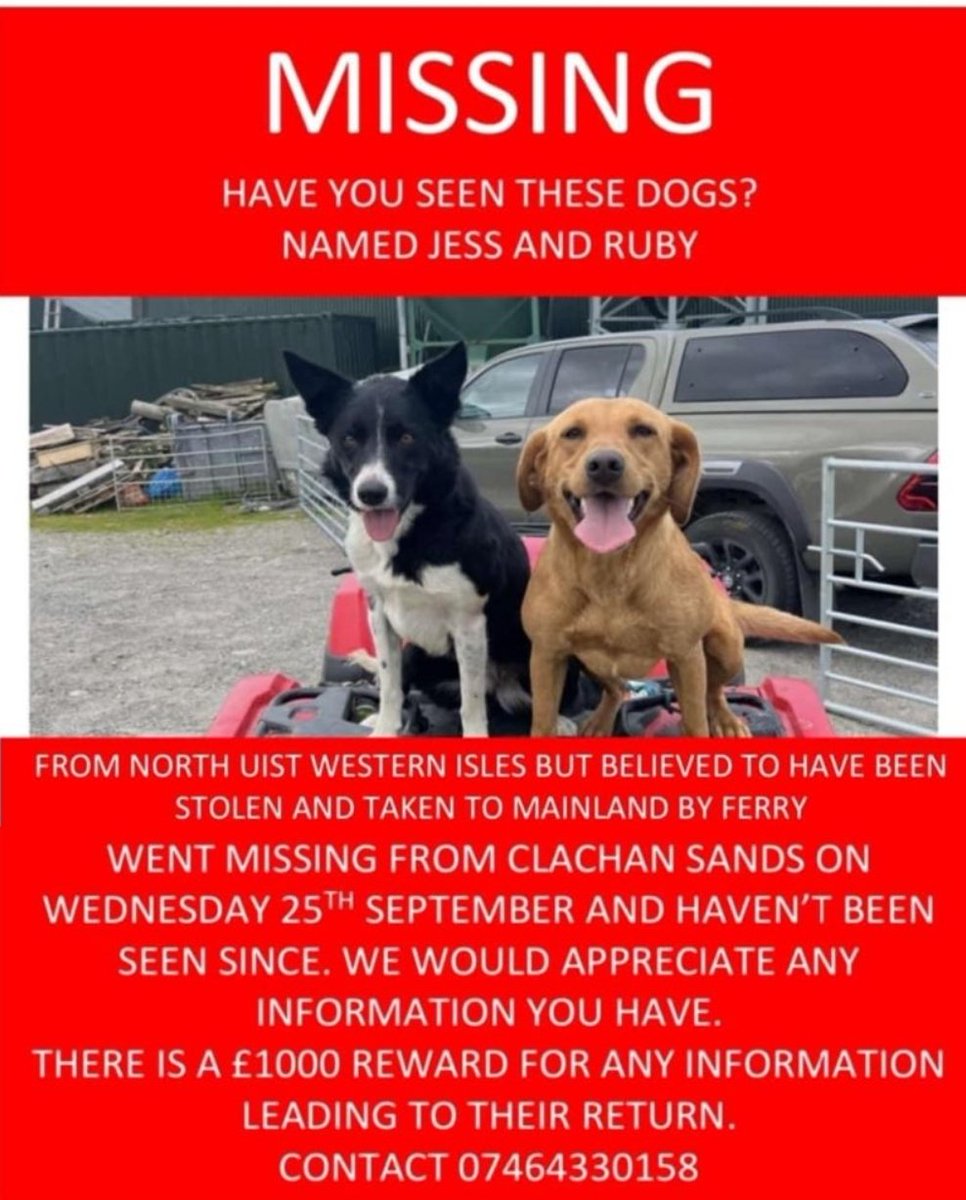 MissingPetsGB's tweet photo. URGENT 👇👇

RUBY &amp; JESS #MISSING TOGETHER SINCE 25 SEPTEMBER 2024 from Clachan Sands, North Uist, Scotland #HS6
BELIEVED #STOLEN AND TAKEN TO MAINLAND BY FERRY👇 https://t.co/N0Ud91nbOo