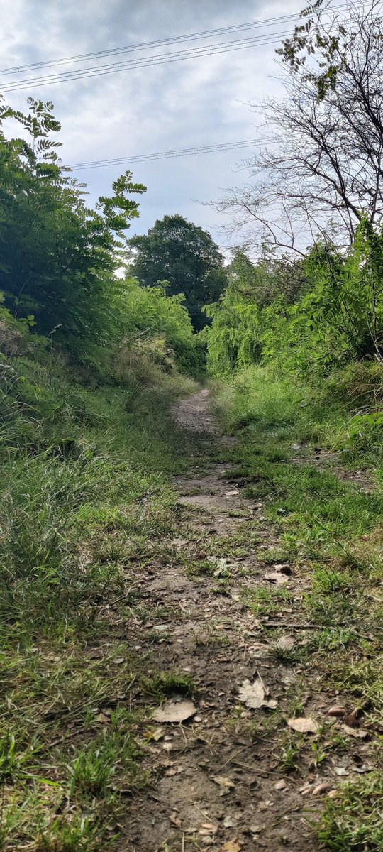 Ted_FTV's tweet image. Goede middag, good afternoon.
#GoGeocaching #Geocaching