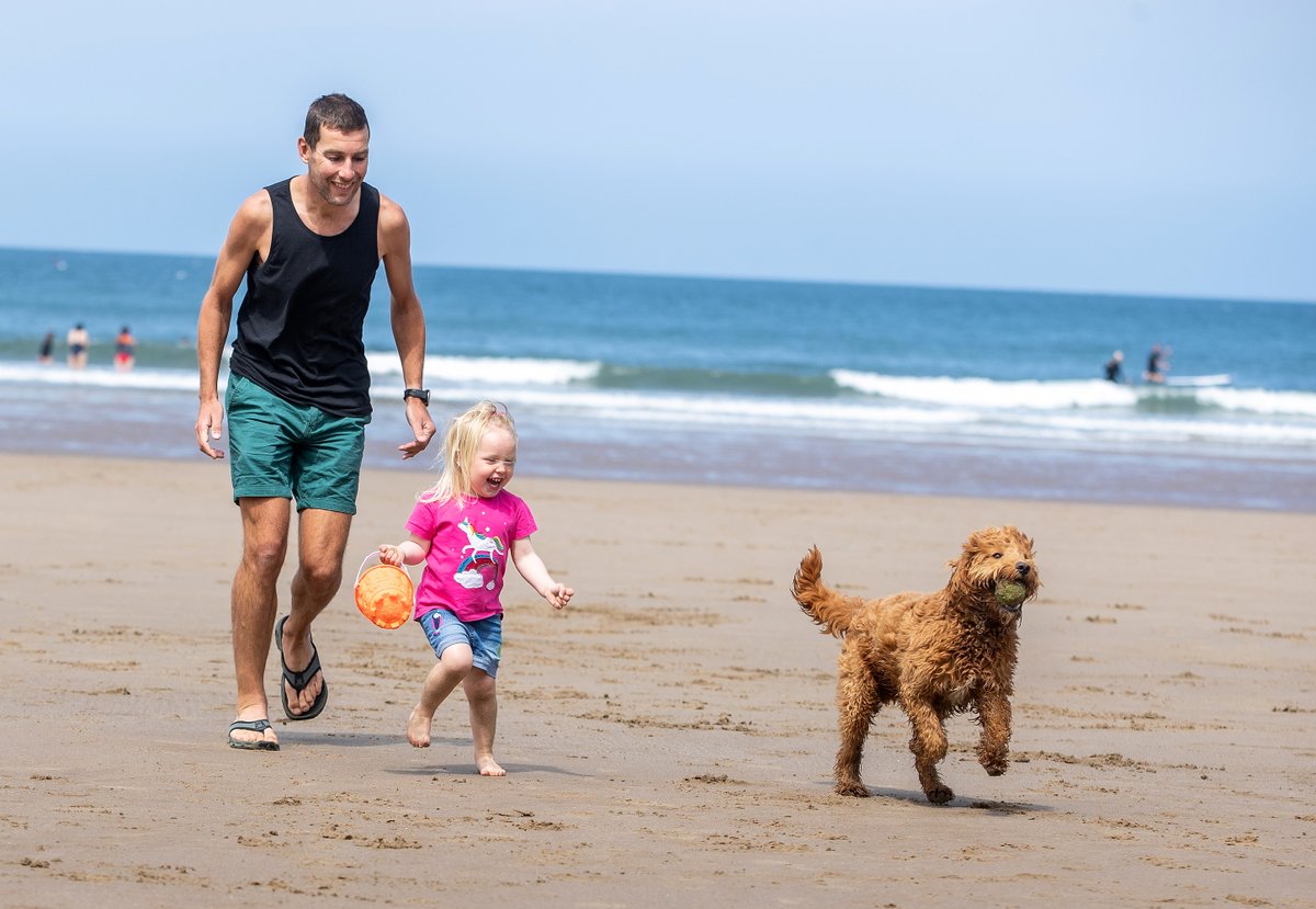 Restrictions for dogs on sections of #NorthYorkshire beaches have now ended.

The restrictions have been in place on sections of #Filey, #Scarborough, #Whitby and #Sandsend beaches over the summer period.