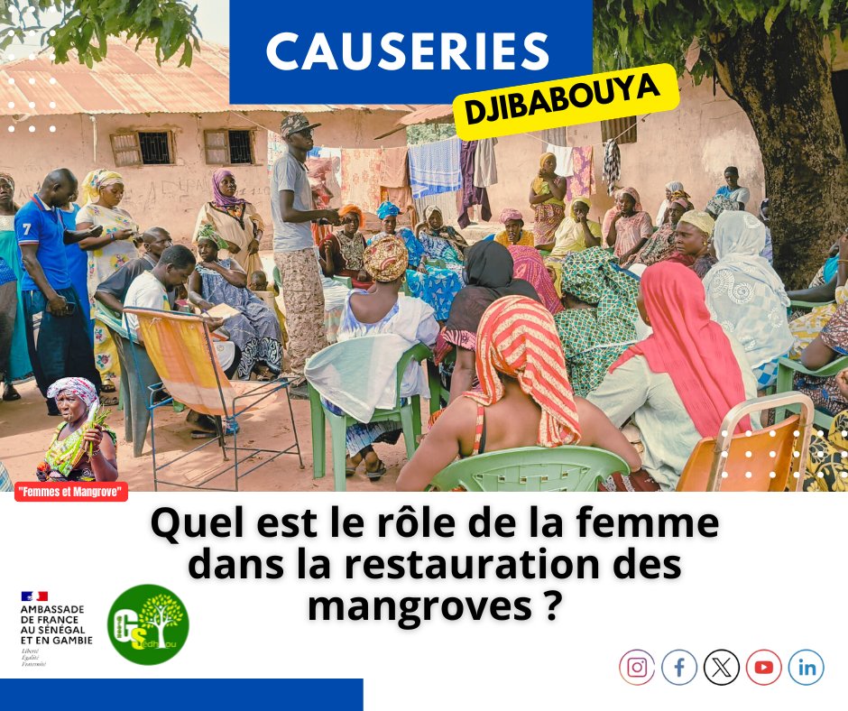 green_sedhiou's tweet photo. 🌿 #ProjetFemmesetMangrove  
🎙️ #Causeries et #ÉmissionsRadio pour parler du rôle des femmes, les bonnes pratiques dans la restauration de la #mangrove.  
🤝 Ce projet est financé par l'#AmbassadeFrance au #Sénégal.
#Goudomp #Djibanar #Diendè #Djibabouya https://t.co/b58Glo8yvA