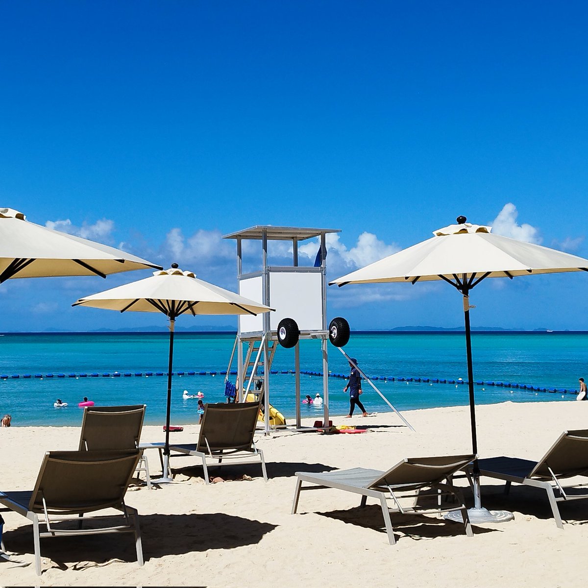 Taketo /XENEA/web3 system integrater tweet media